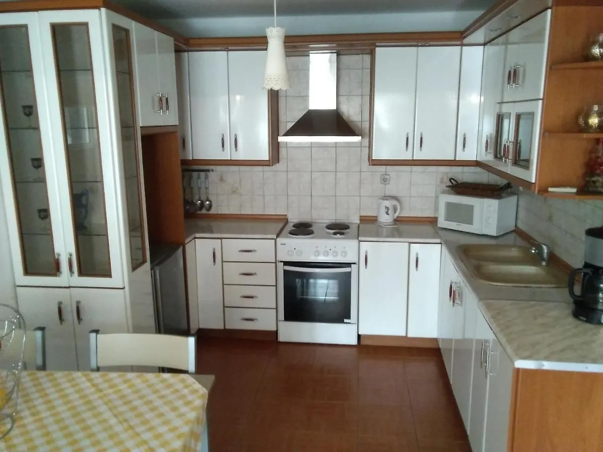 Villa Konstantina Nea Skioni