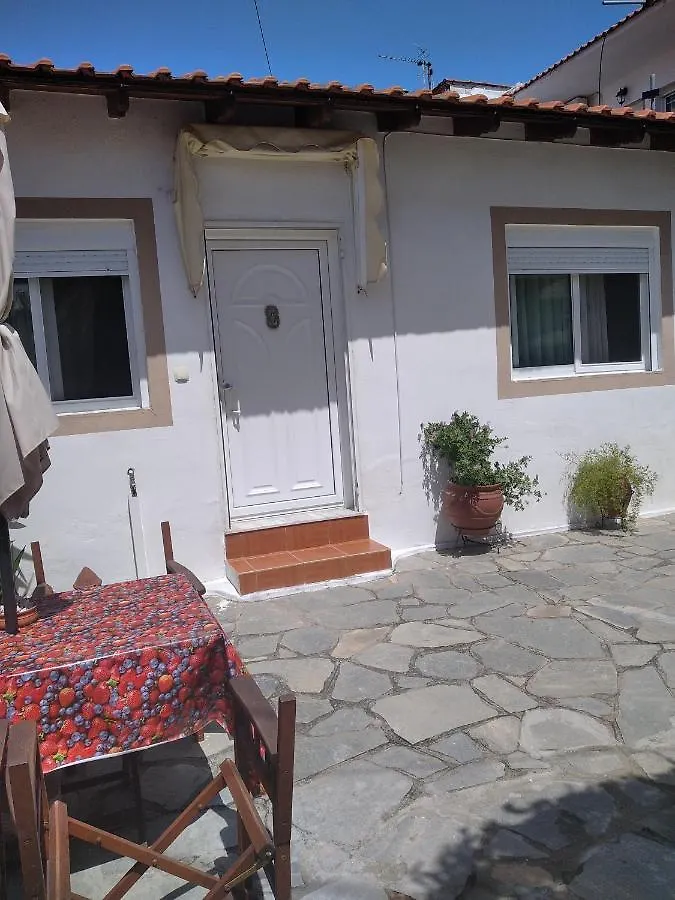 Villa Konstantina Nea Skioni